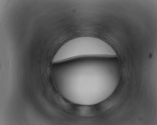 X0000093730085200710160823