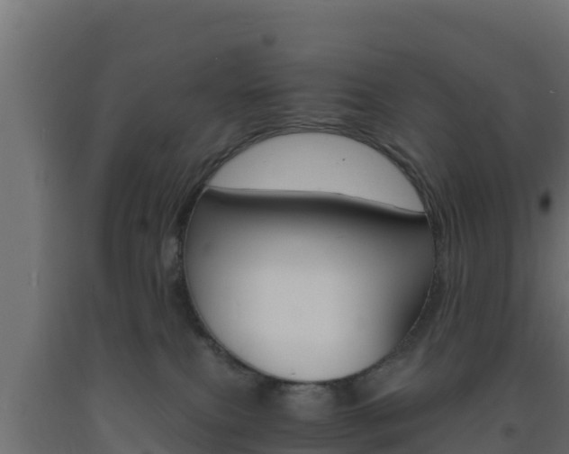 X0000093730087200710160823