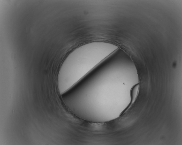 X0000093730089200710160823