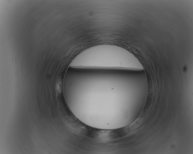 X0000093730090200710160823