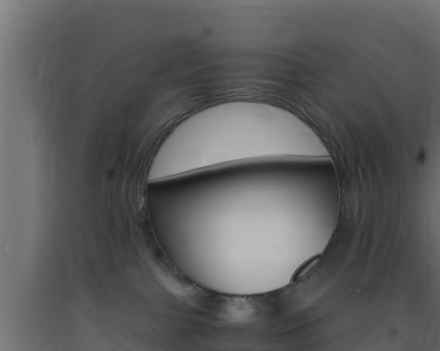 X0000093730091200710160823
