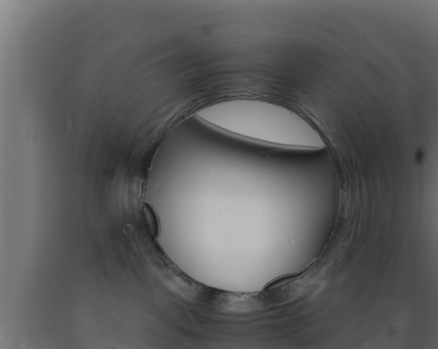 X0000093730093200710160823