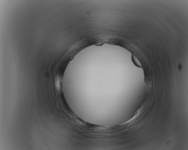 X0000093730094200710160823