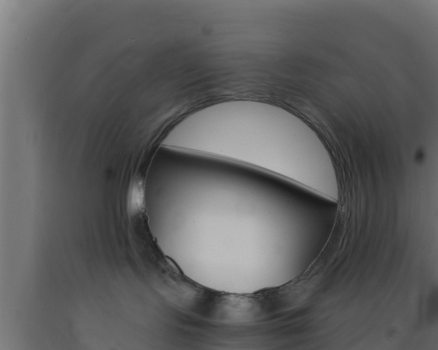 X0000093730095200710160823