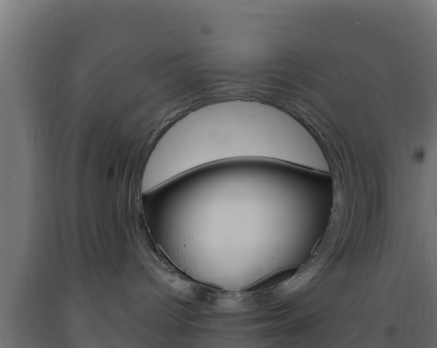 X0000093730096200710160823