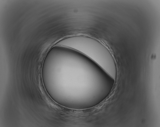 X0000093730097200710160822