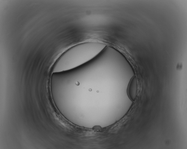 X0000093730098200710160822
