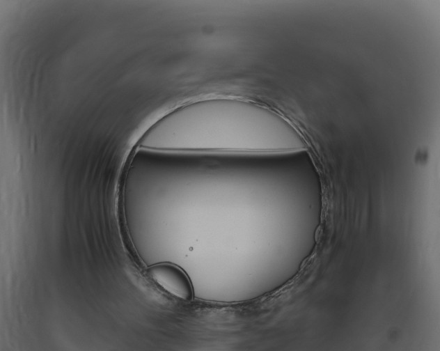 X0000093730100200710160822