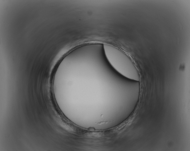 X0000093730102200710160822