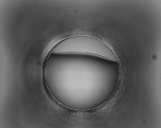 X0000093730103200710160822