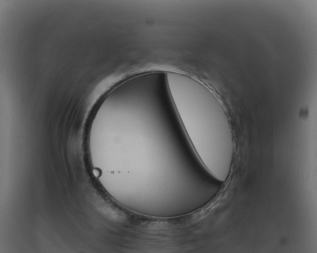 X0000093730104200710160822