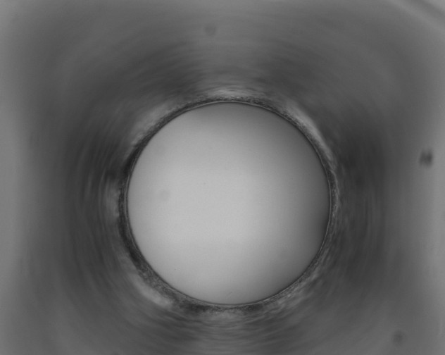 X0000093730106200710160822