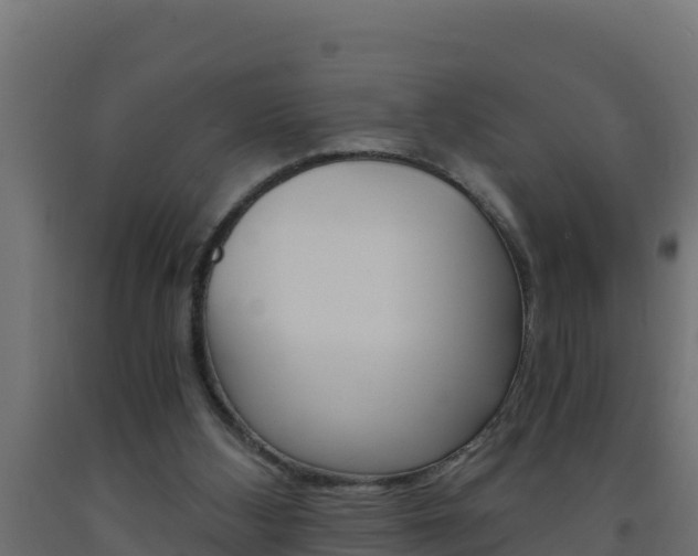 X0000093730108200710160822