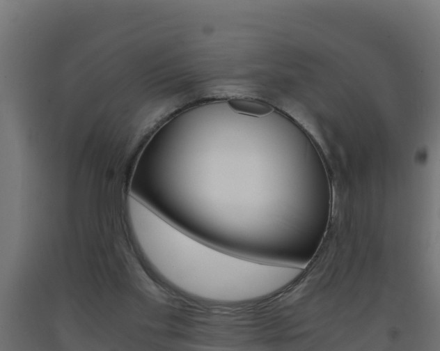 X0000093730109200710160822