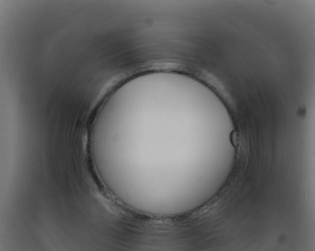 X0000093730110200710160822