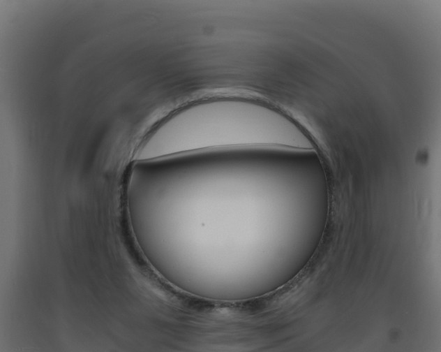 X0000093730111200710160822