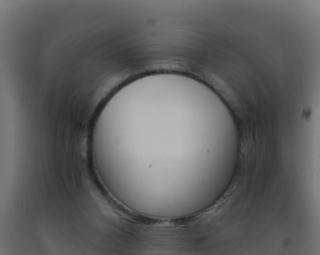 X0000093730112200710160822