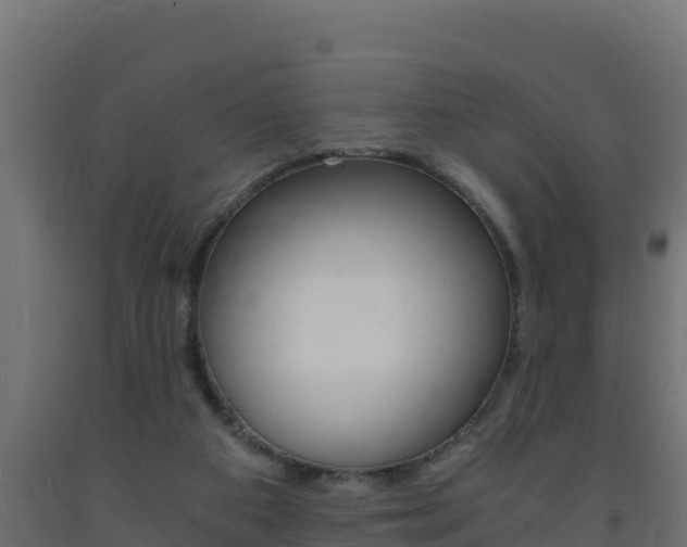 X0000093730113200710160822