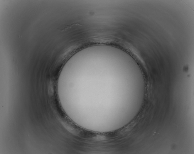 X0000093730114200710160822