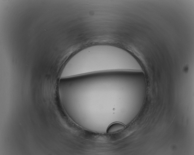X0000093730115200710160822