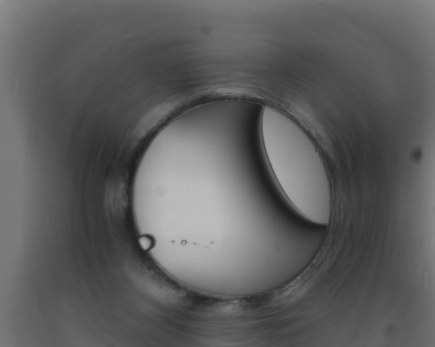 X0000093730116200710160822