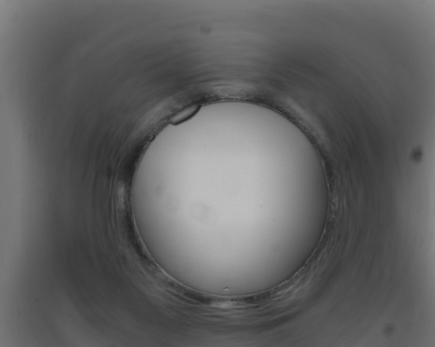 X0000093730117200710160822