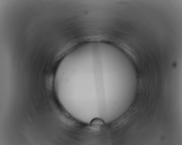 X0000093730118200710160822