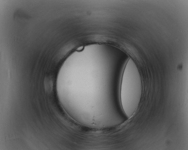 X0000093730120200710160822