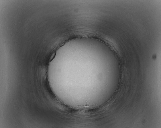X0000093730121200710160822