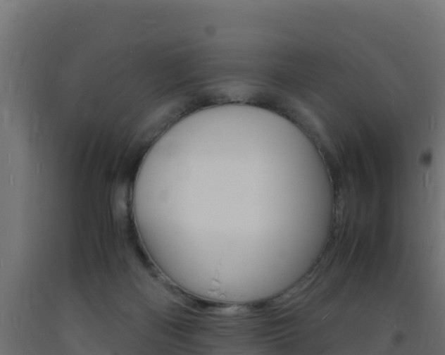 X0000093730122200710160822