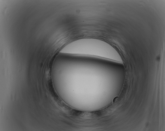 X0000093730123200710160822