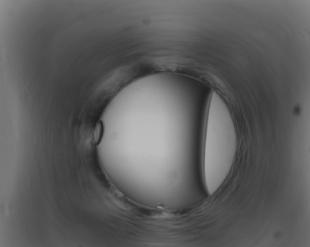 X0000093730125200710160822