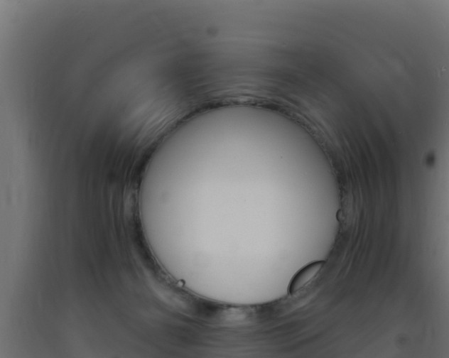 X0000093730126200710160822