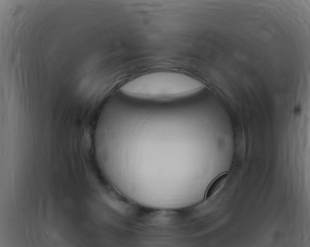 X0000093730128200710160822