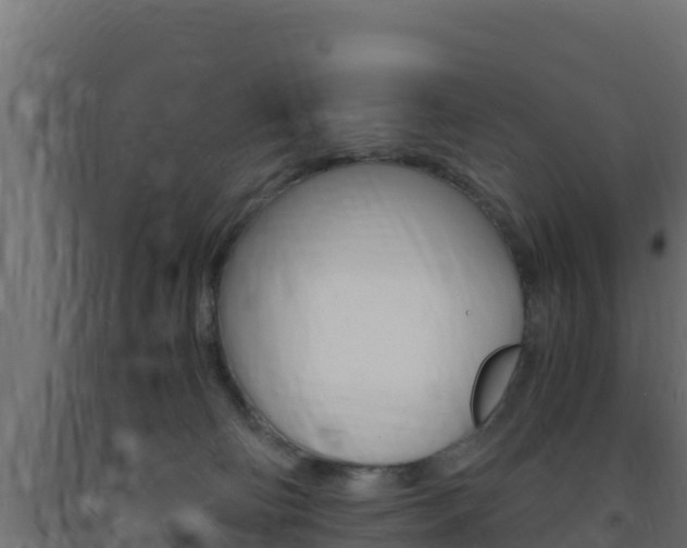 X0000093730130200710160822