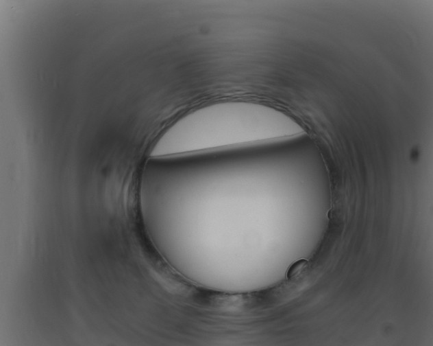 X0000093730131200710160822