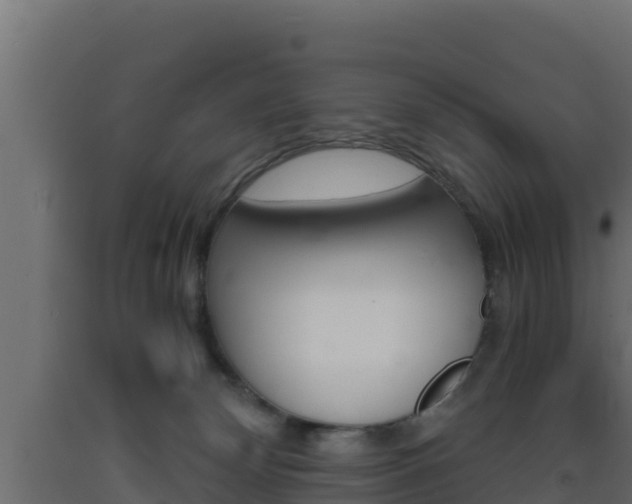 X0000093730132200710160822