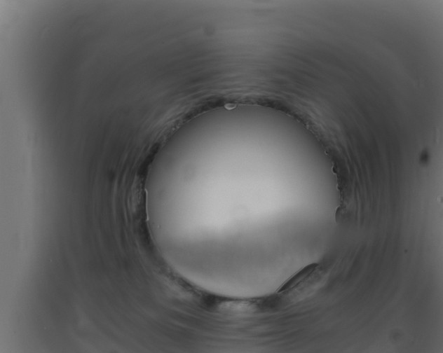 X0000093730133200710160822