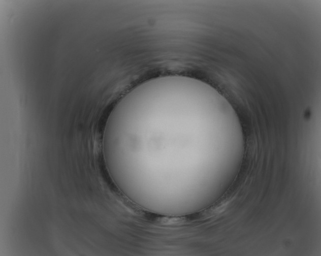 X0000093730135200710160822