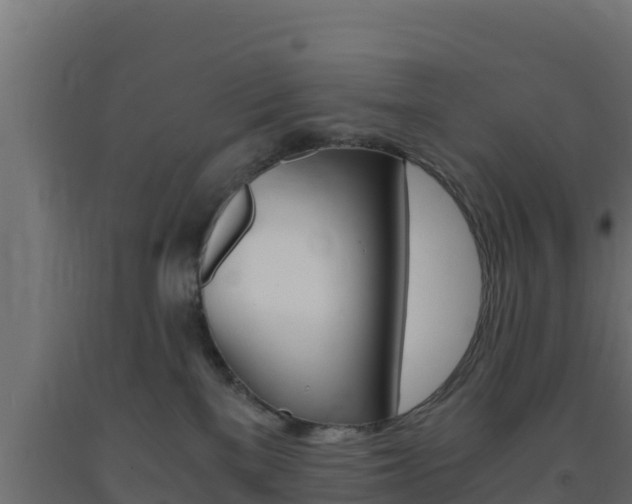 X0000093730137200710160822