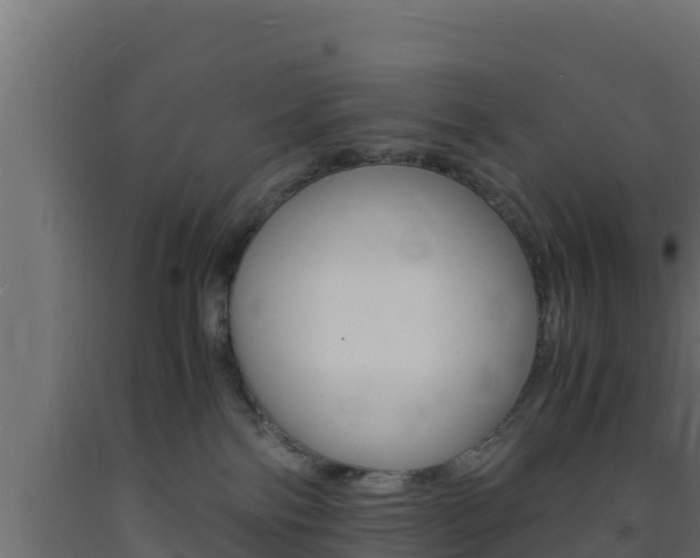X0000093730138200710160822