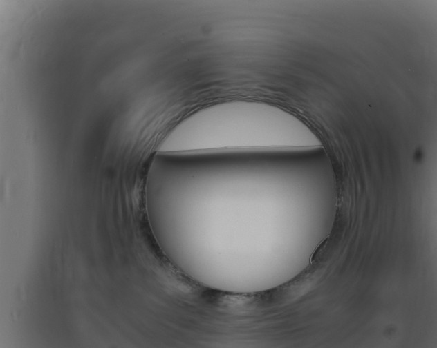 X0000093730139200710160822