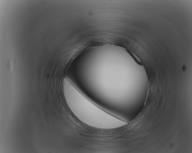 X0000093730141200710160822