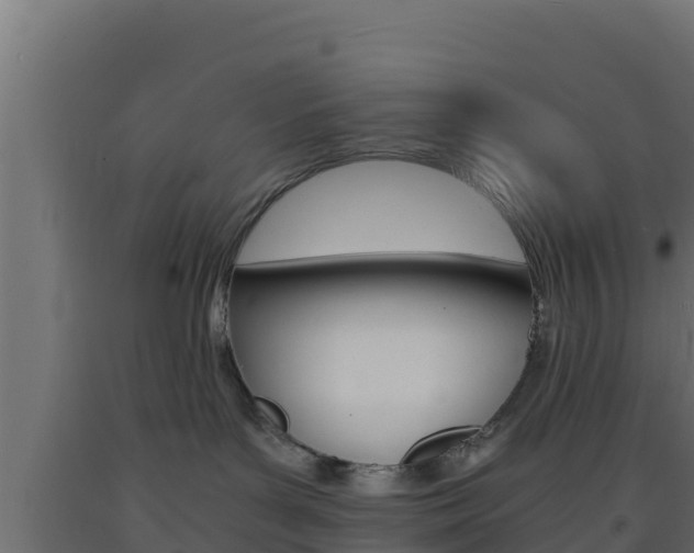 X0000093730143200710160822