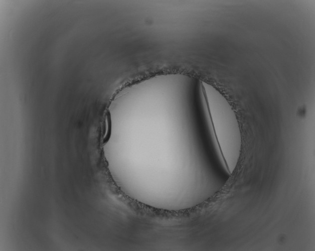 X0000093730144200710160822