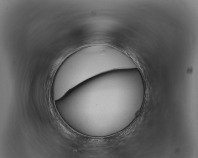 X0000093730145200710160821
