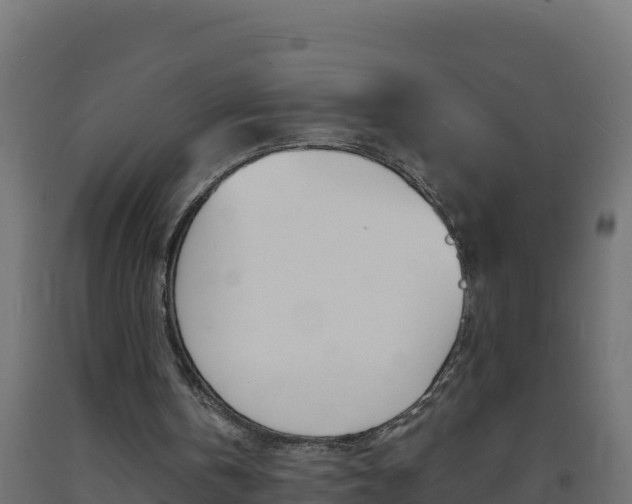 X0000093730146200710160821