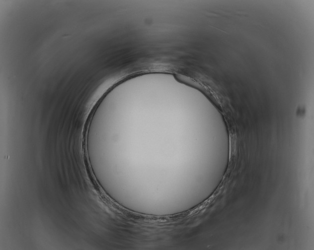 X0000093730147200710160821
