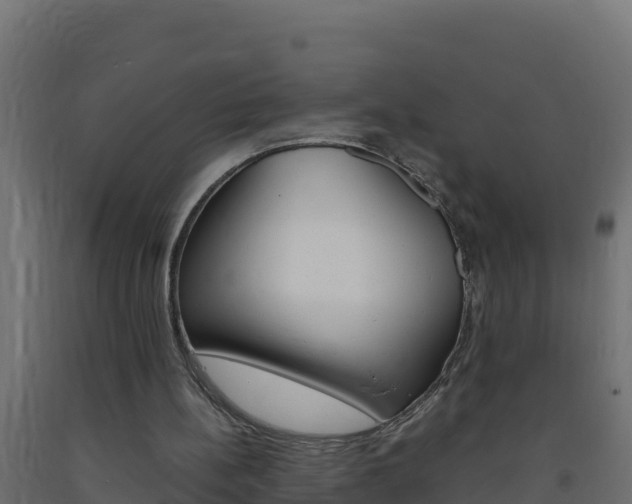 X0000093730148200710160821