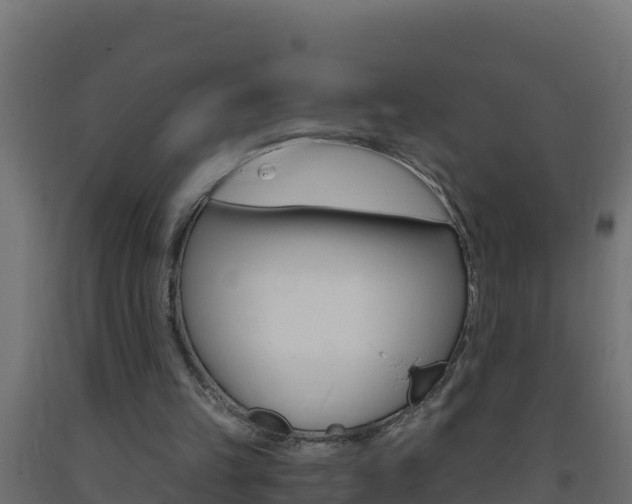 X0000093730149200710160821